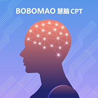 SIS慧脑CPT             